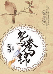鴛鴦錦小说封面
