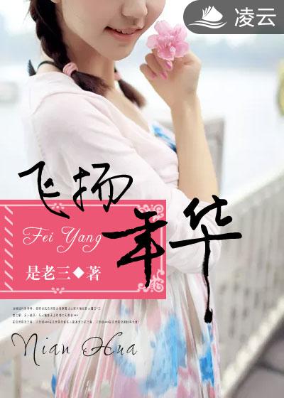 飛敭年華小说封面